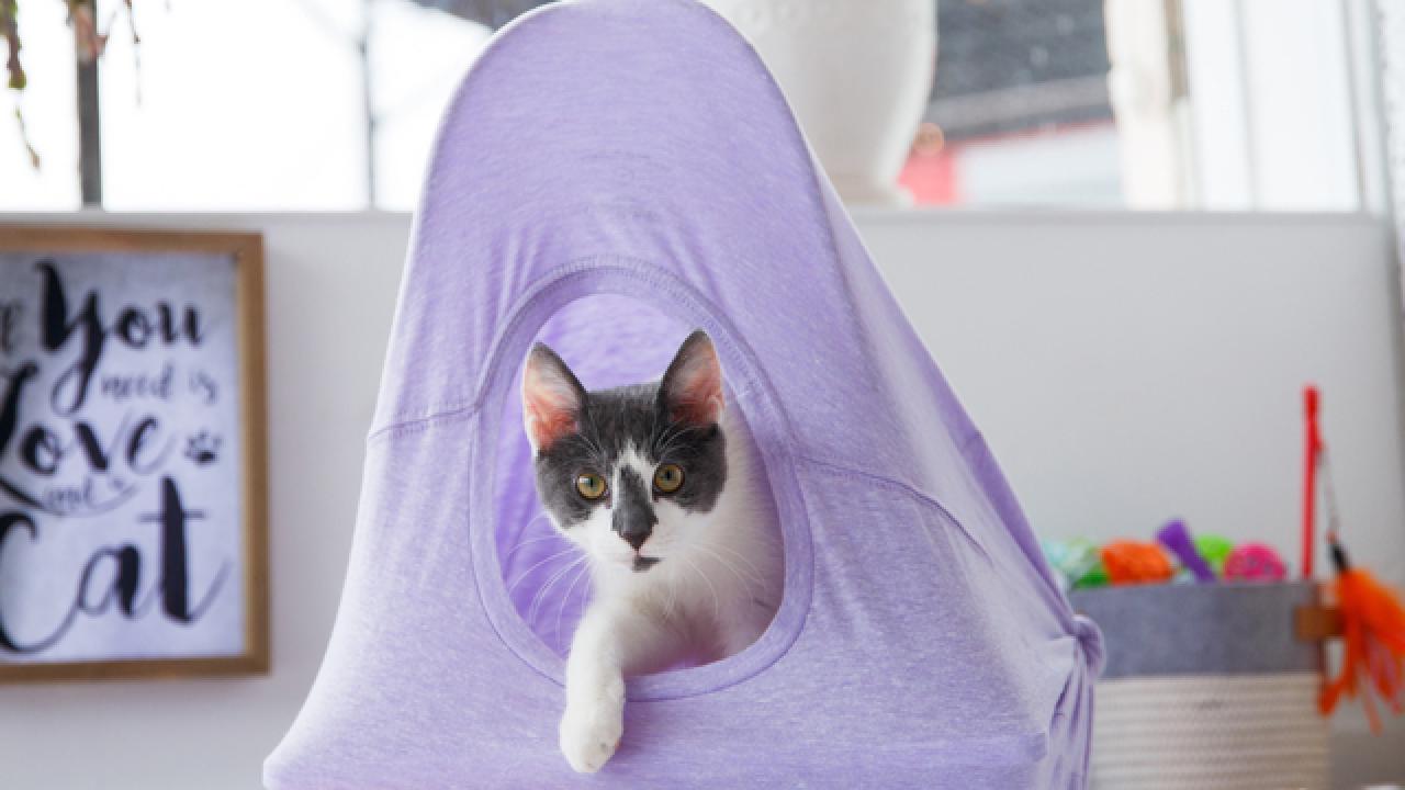 DIY T-Shirt Kitty Tent