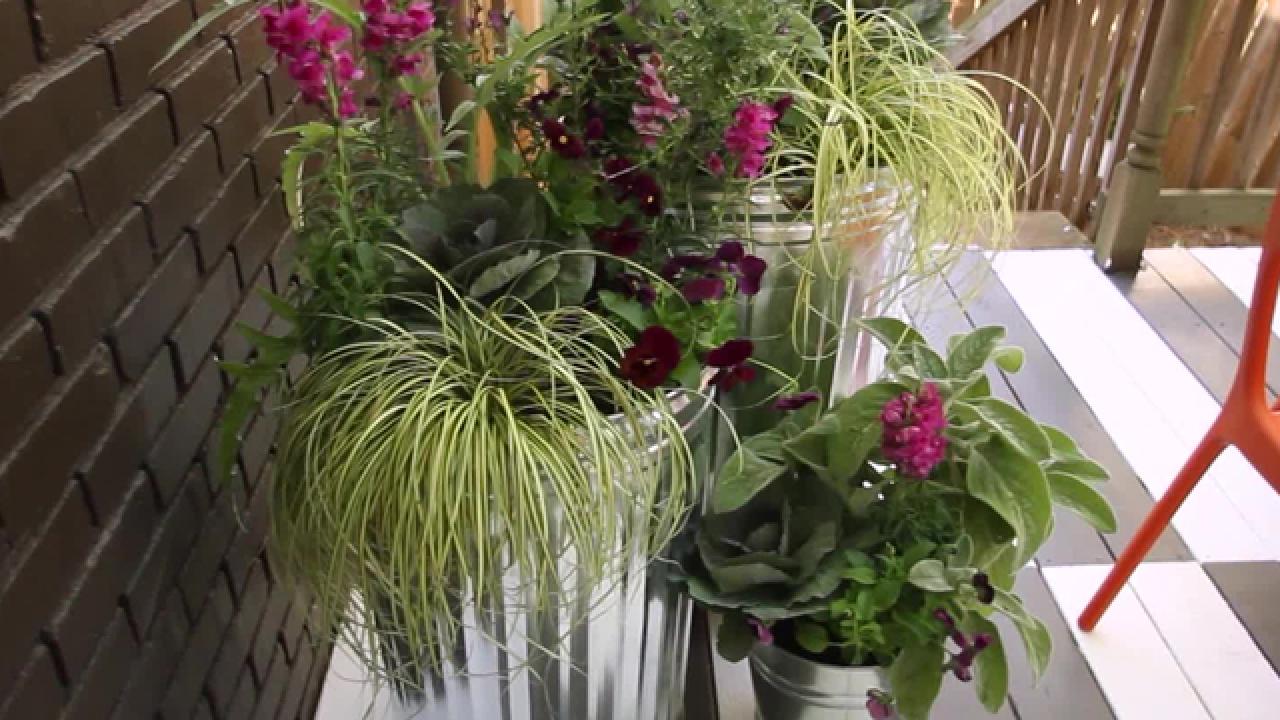 Container Garden On-the-Go