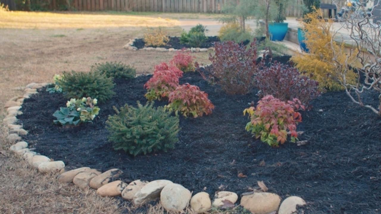 How to Plan a Winter Garden