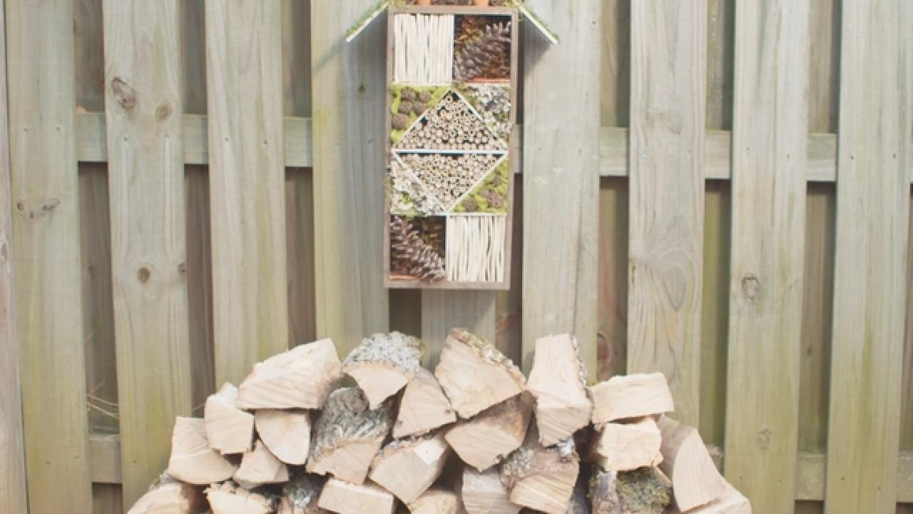 How to Make a Bug Hotel