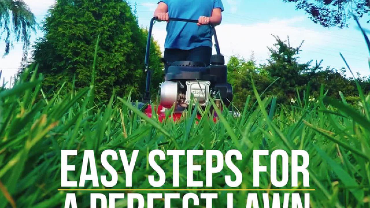 How to Get the Perfect Lawn