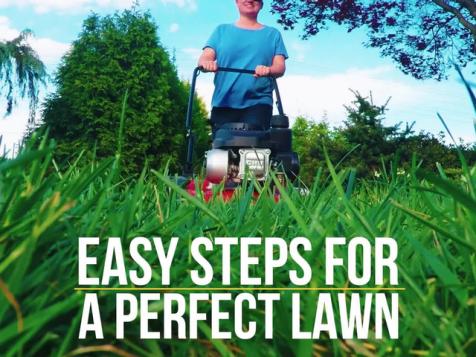 How to Get the Perfect Lawn