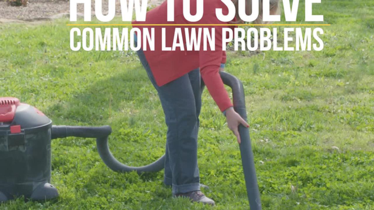 Solving Common Lawn Problems
