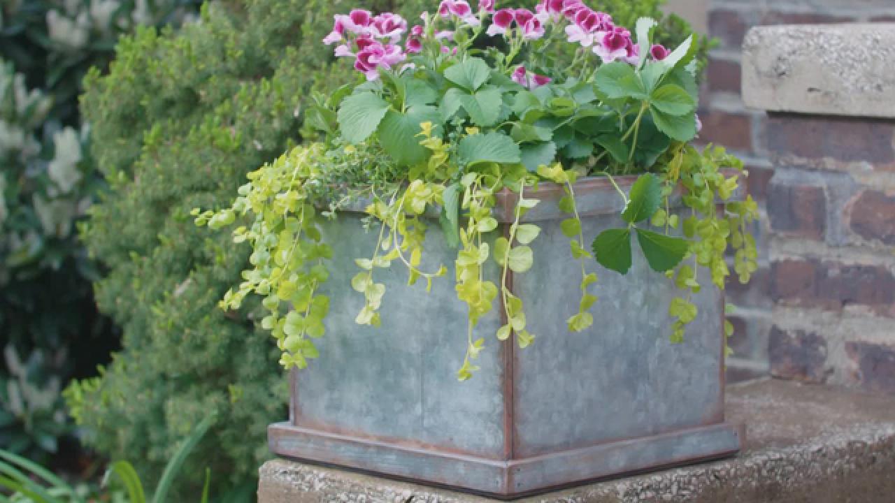 Zinc Planter