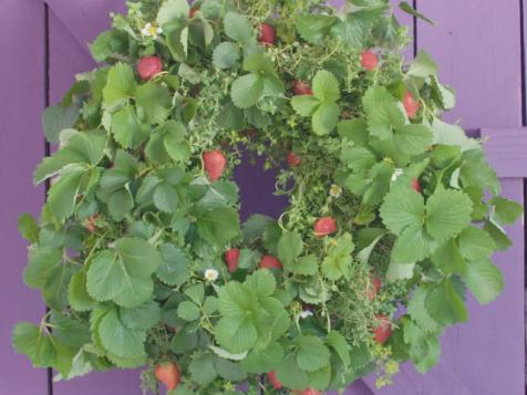 Living Strawberry Wreath