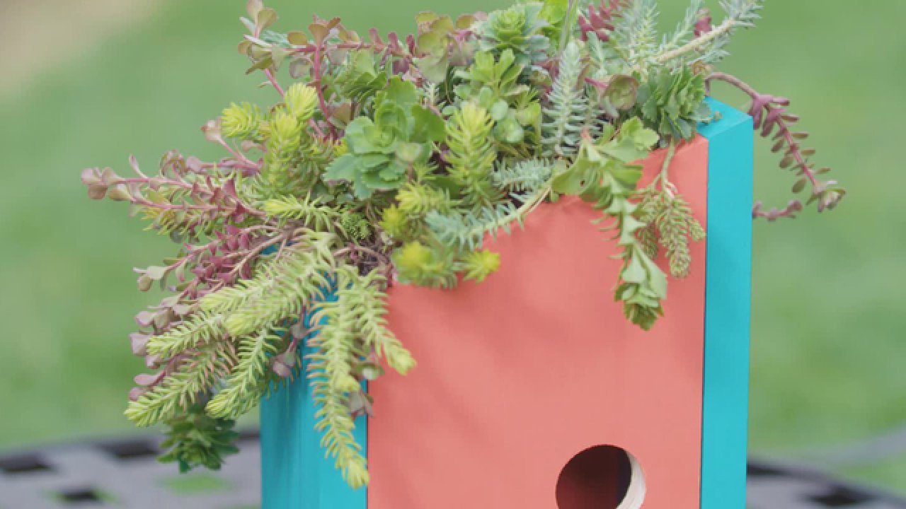 Living Roof Birdhouse