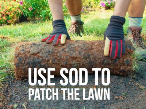 Patch Up the Lawn with Sod