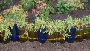 Garden Edging Ideas & Tips | HGTV