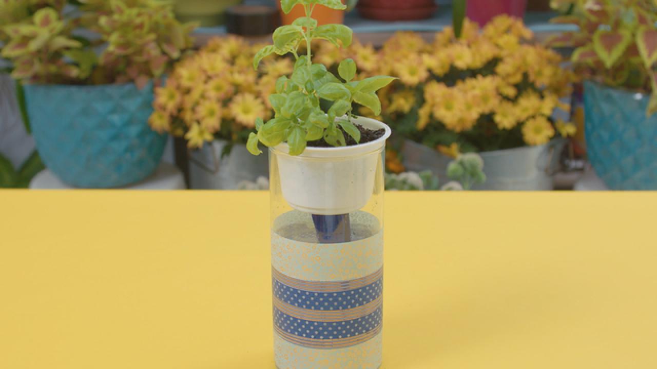 DIY Self-Watering Planter