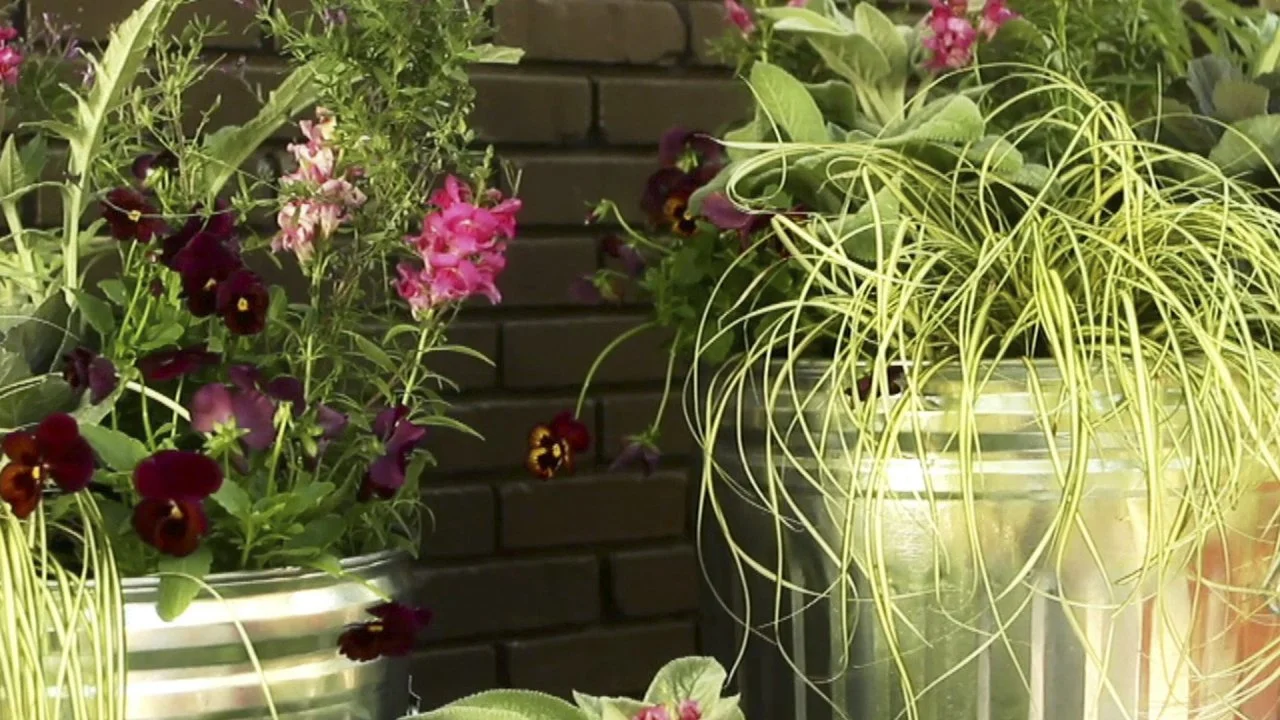 Mobile Garden Planter