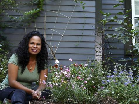 Combining Plants: Summer