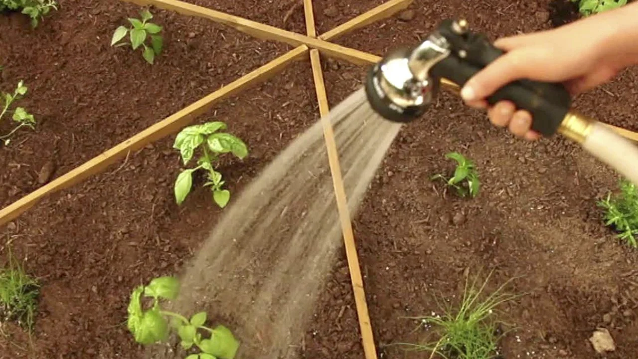 How to Grow a Pizza Garden