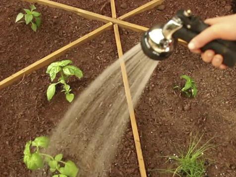 How to Grow a Pizza Garden