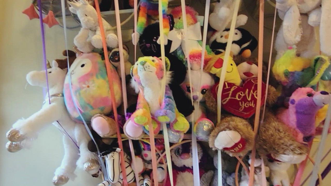 DIY Kid-Friendly, Wall-Mounted Stuffed Animal Storage | HGTV