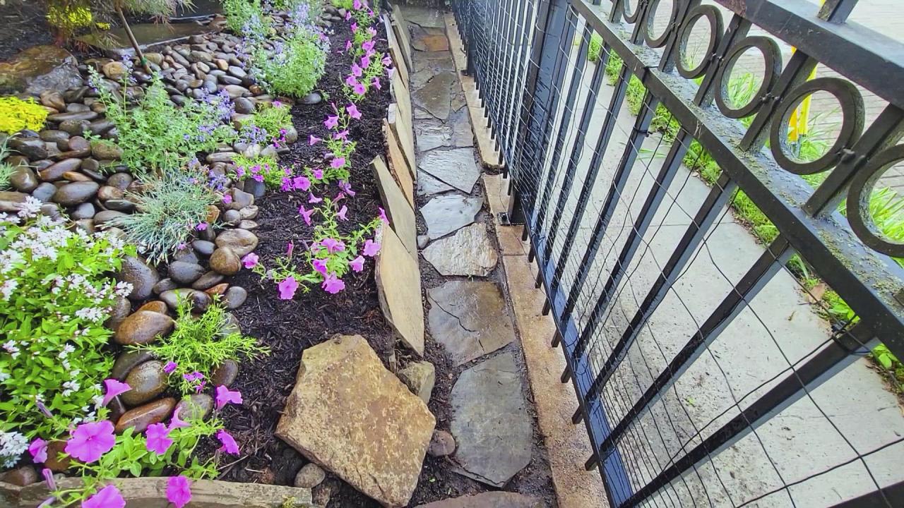 DIY Petscaping