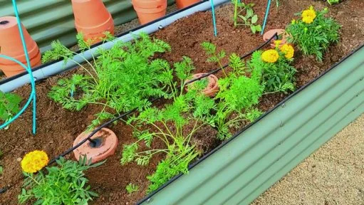 4-Pack Terracotta Self-Watering Spikes - 24oz Carrot Design For Potted Plants, Vacation Plant Care