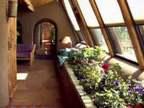 Live Indoor Plants