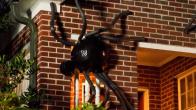 DIY Giant House Spiders