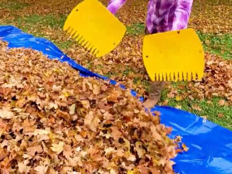 4 Tools for Keeping a Leaf-Free Lawn