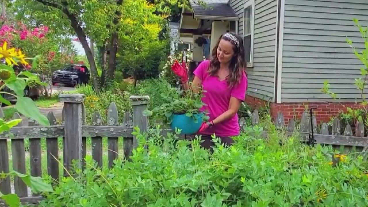 How To Create an Edible Garden