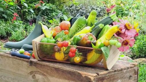 Avoid These 10 Mistakes for a Better Vegetable Container Garden