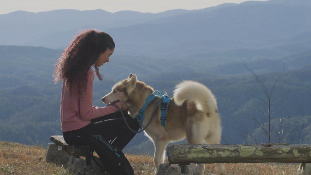 Do's and Don'ts of Hiking With Your Pup