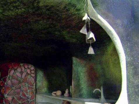 Underground Shark House
