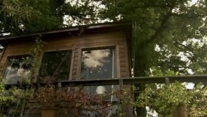 Napa Valley Treehouse