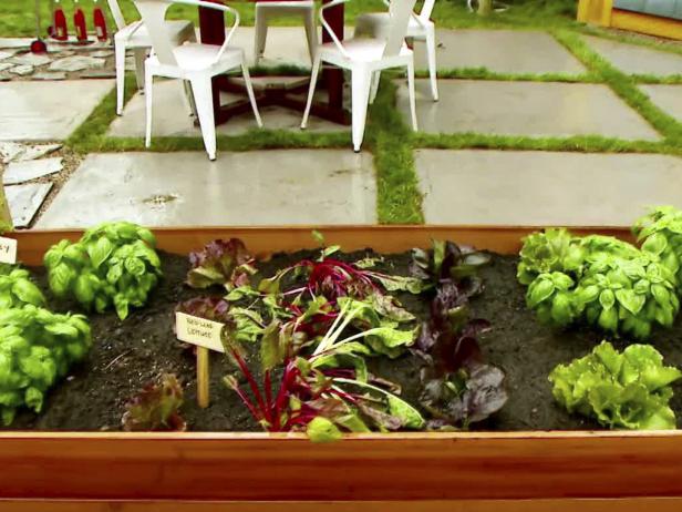 How to Build a Raised Bed Garden Video | HGTV