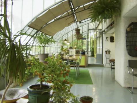 Homegrown Greenhouse Caves