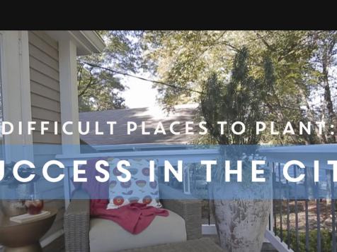 Success in the City