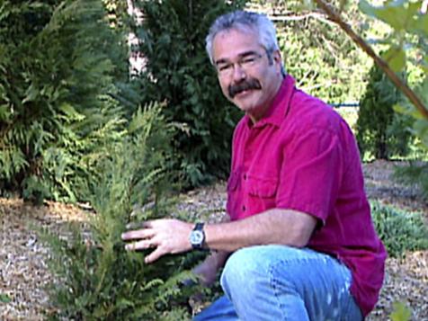 Pruning & Weeding