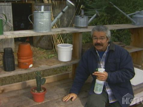 Potting Bench