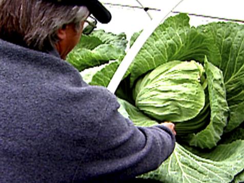 Giant Produce