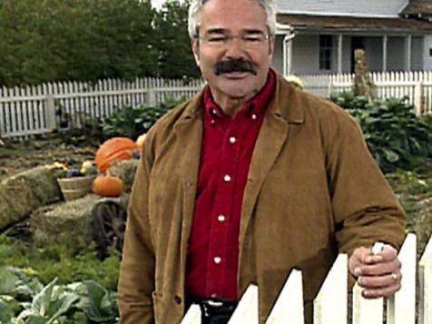 Giant Cabbages