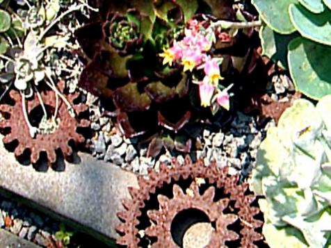 Small-Space Garden