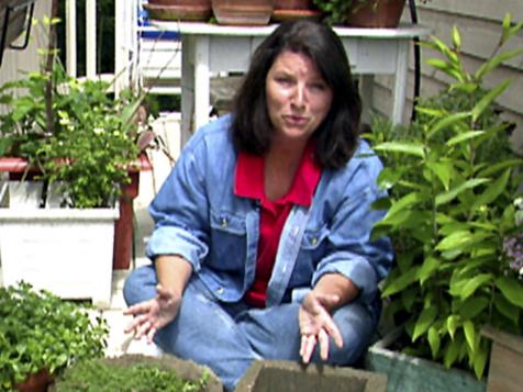 DIY Garden Pots