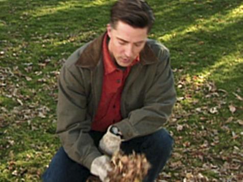 Autumn Mulching