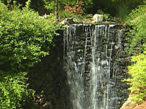 Eclectic Georgia Garden