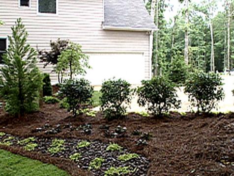 Inviting Driveway Landscape
