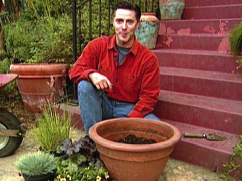 Ornamental Grasses in Pots