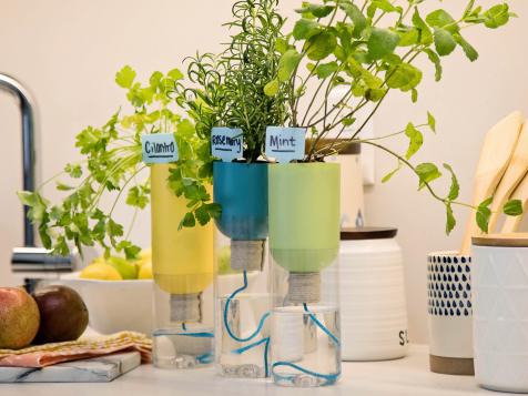 Self-Watering Plastic Bottle Planter