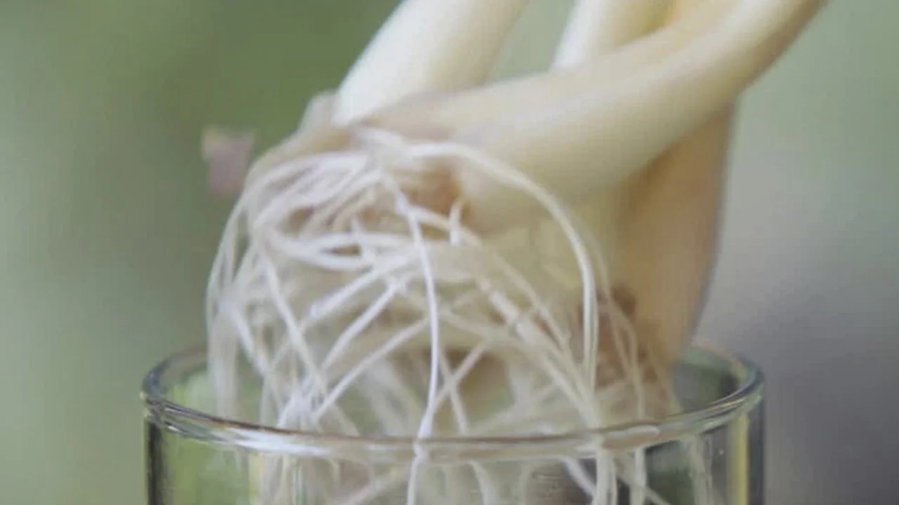 Clone Your Vegetables!