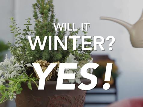 7 Cool-Weather Planter Tips