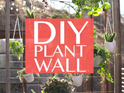 DIY Plant Wall