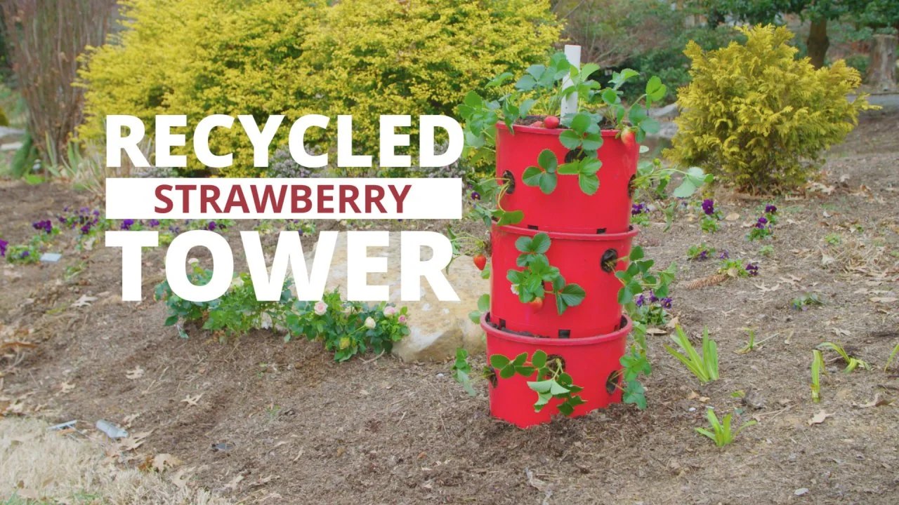DIY Recycled Strawberry Tower
