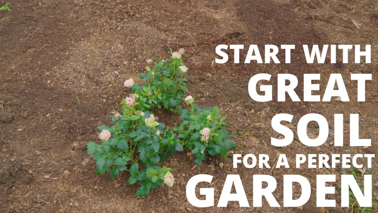How to Improve Your Garden Soil