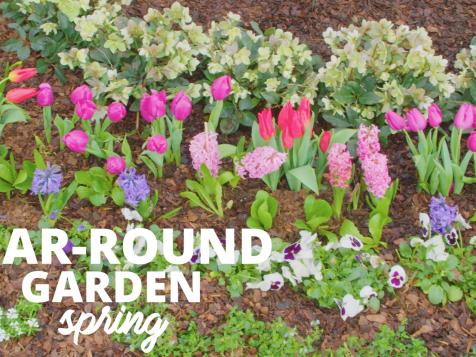How to Plant a Year-Round Garden