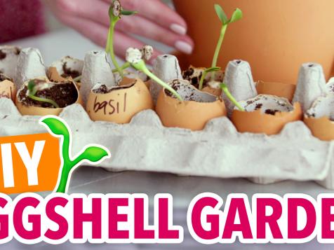 DIY Eggshell Seed Starters