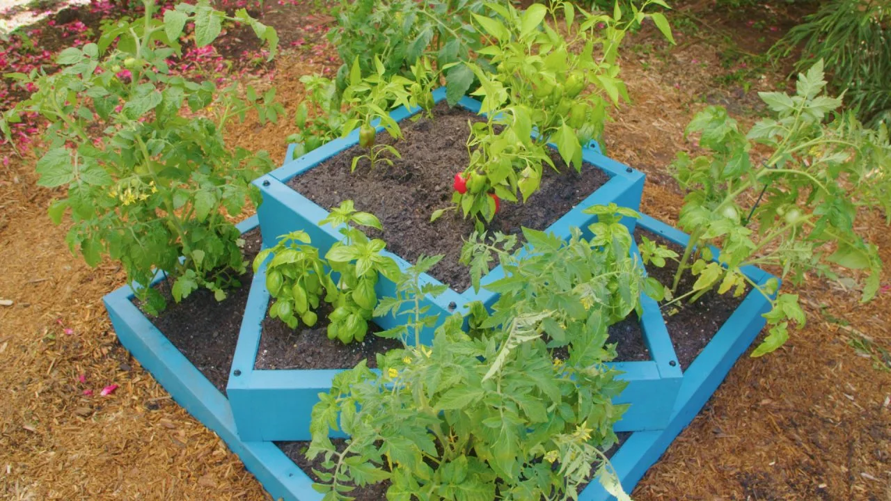 How to Make an Architectural Garden